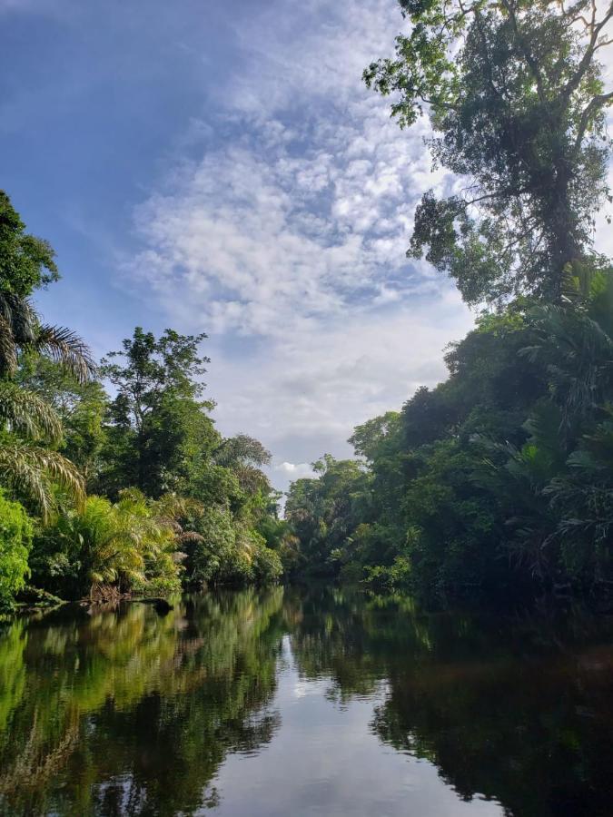 Casa Thirema Tortuguero Hotel Exterior photo